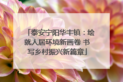泰安宁阳华丰镇：绘就人居环境新画卷 书写乡村振兴新篇章